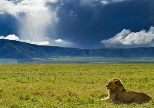 Ngorongoro Conservation Area3