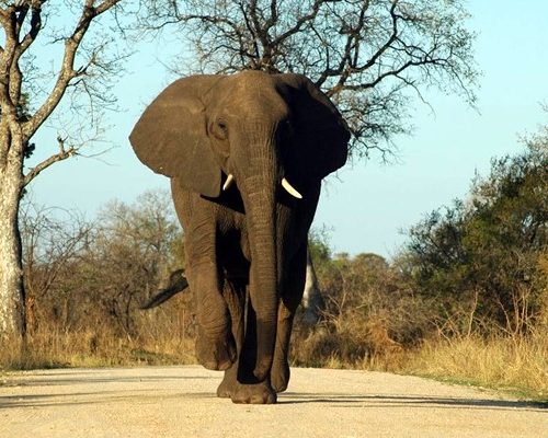 tarangire-national-park